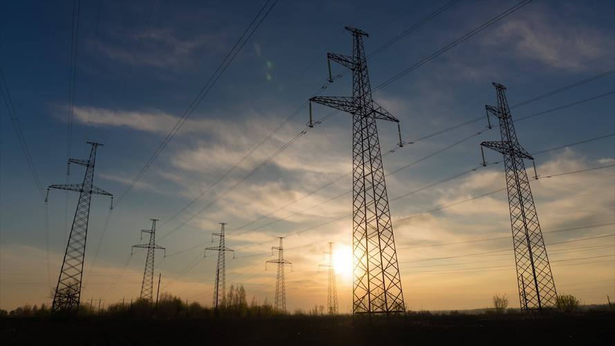 1687939272544535.jpeg 2.jpeg